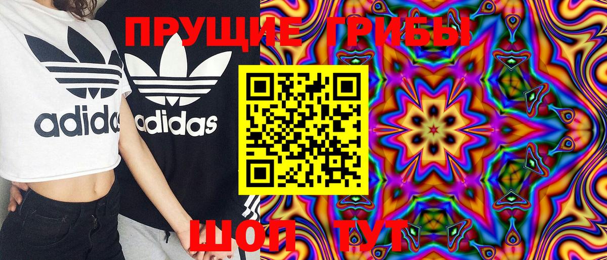 Псилоцибиновые грибы GOLDEN TEACHER  Галлюциногенные грибы Psilocybe  купить   Вход с VPN  Новоалтайск 